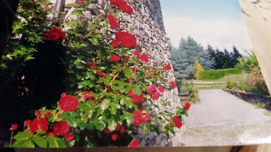 Casa San Martino Villa Teglio Kültér fotó